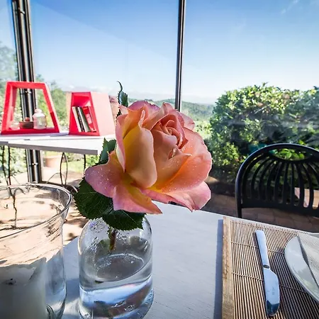 Agriturismo Cielsereno Farm stay *
