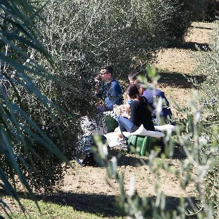 Agriturismo Cielsereno Farm stay Casole d'Elsa